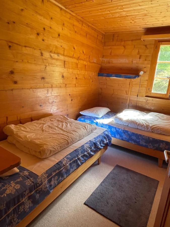 Chalet Singlinaz Zinal Εξωτερικό φωτογραφία