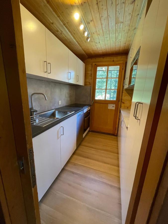 Chalet Singlinaz Zinal Εξωτερικό φωτογραφία